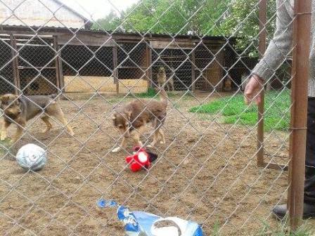 Galeria - Przedszkole 390 w Warszawie