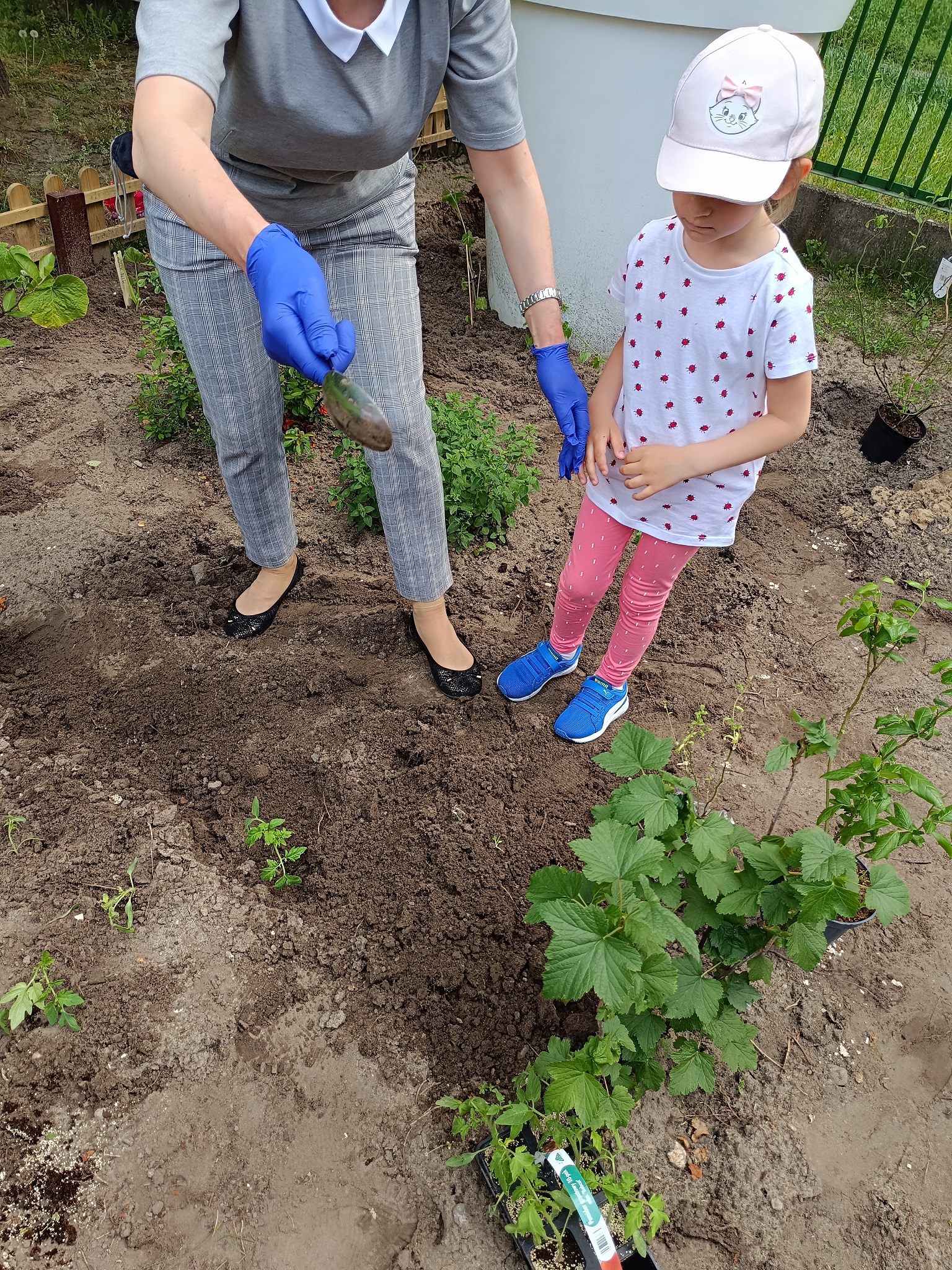 Galeria - Przedszkole 390 w Warszawie