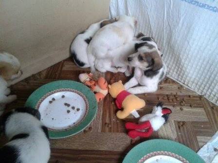 Galeria - Przedszkole 390 w Warszawie