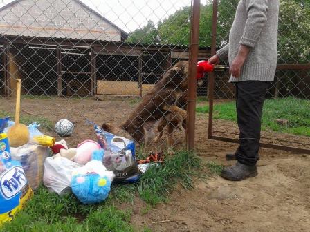 Galeria - Przedszkole 390 w Warszawie