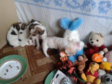 Galeria - Przedszkole 390 w Warszawie