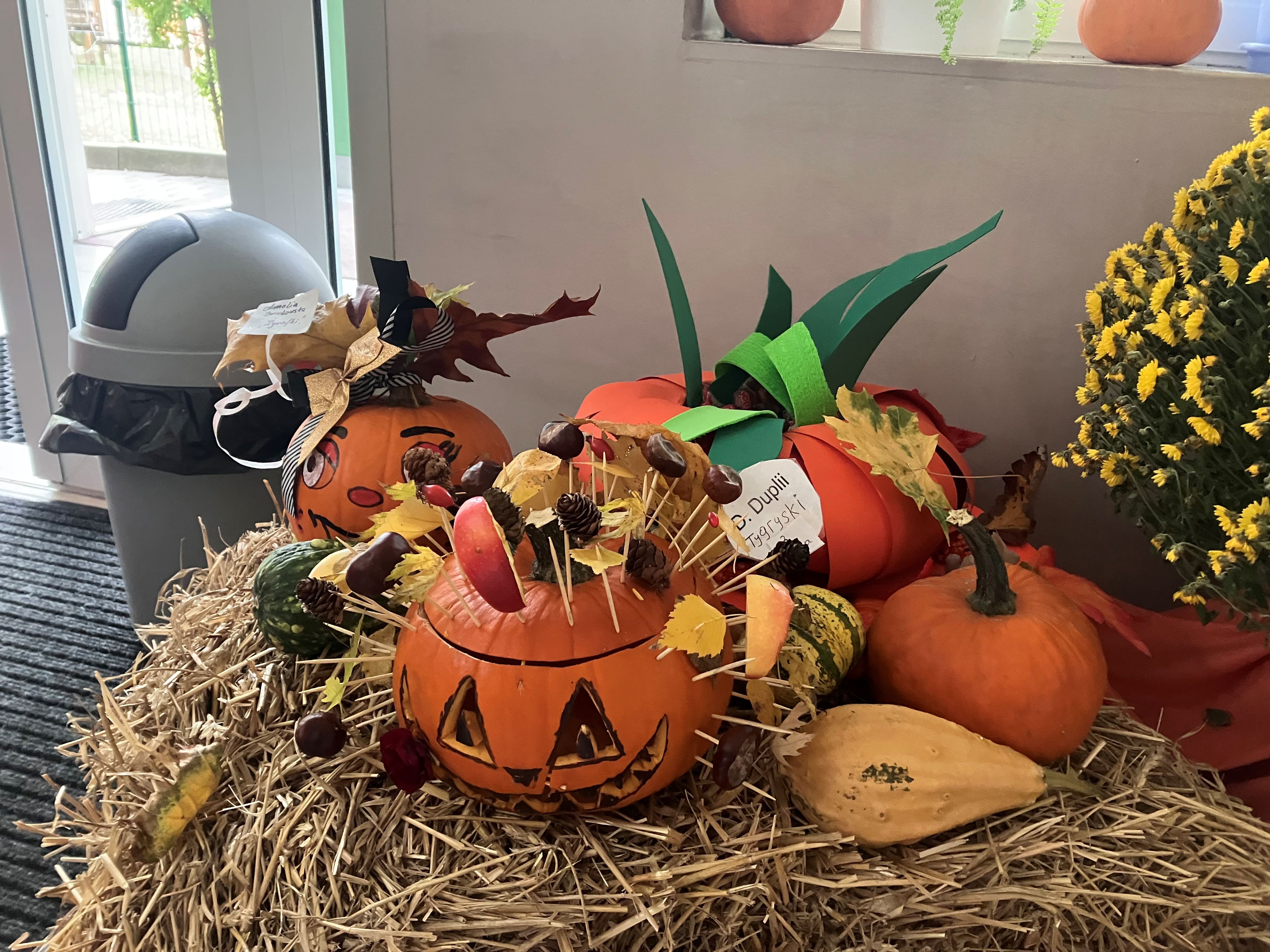 Galeria - Przedszkole 390 w Warszawie